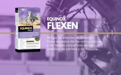 Warum sollten Sie die Gelenke Ihres Pferdes mit Equinox Flexen pflegen? Wir sagen es Ihnen