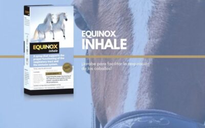 Hat Ihr Pferd Atemprobleme? Entdecken Sie Equinox Inhale