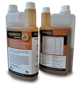 Equinox-equine-nonegus-1-276x300