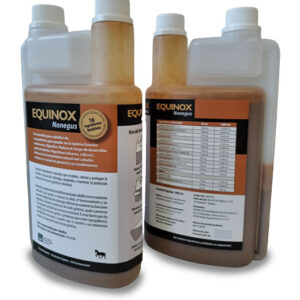 EQUINOX Nonegus
