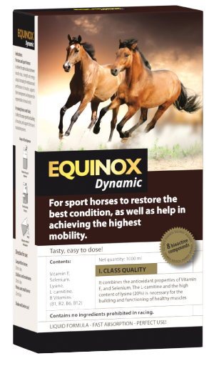 product-equinox-dynamic-web