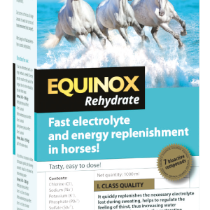 EQUINOX Rehydrate – 1 Liter