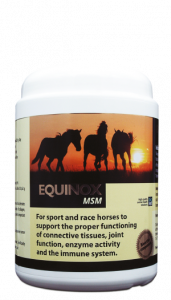 producto-equinox-msm-web-171x300