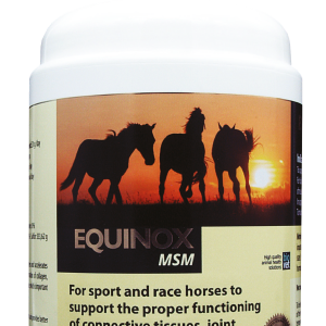 EQUINOX MSM – 1 kg